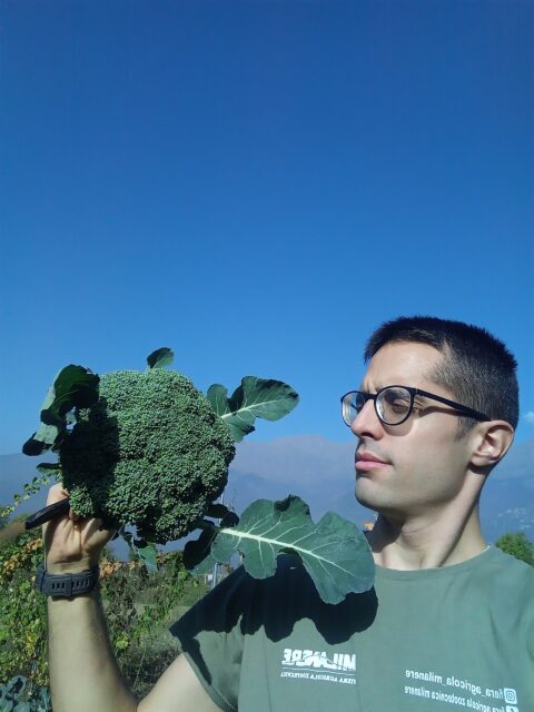 broccolo